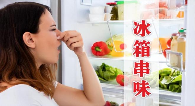 无人问津为何“对开门冰箱”没人买了？j9九游会登录曾经火爆到溢价现在却(图13)